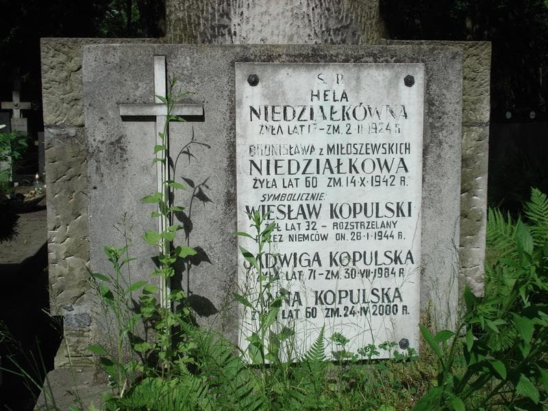 Zdjęcie grobu Hela Niedziałkówna (2)