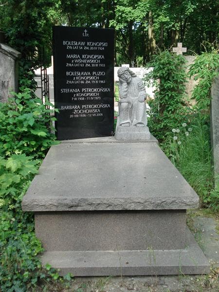 Zdjęcie grobu: Bolesław Puzio