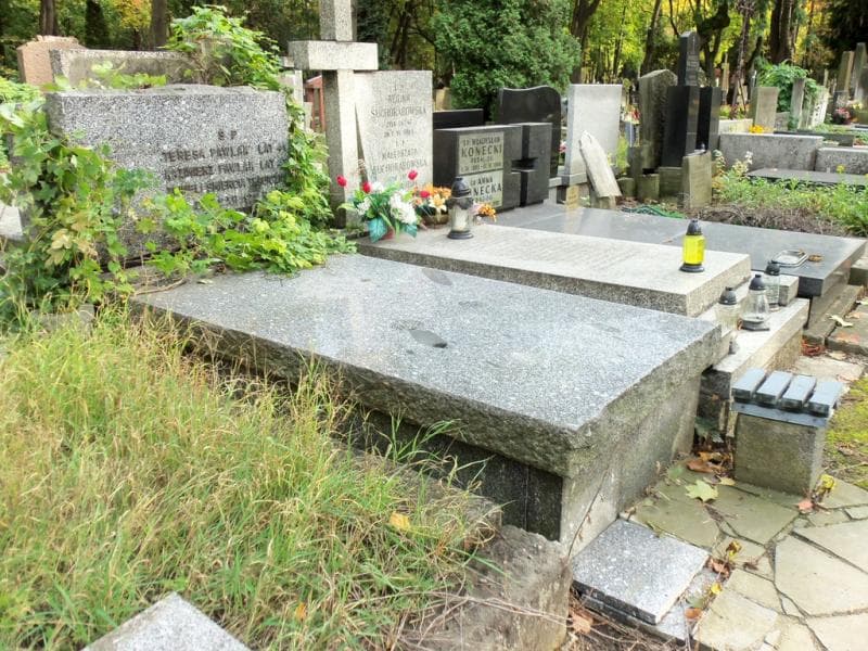 Zdjęcie grobu Zofia Helena Pawlak (1)
