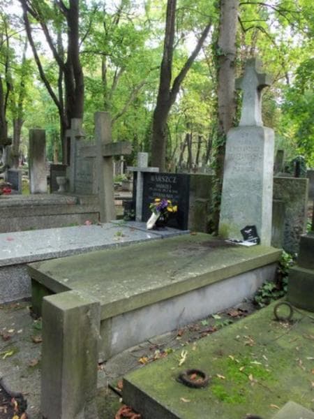 Zdjęcie grobu Julia Knyszakowska (1)