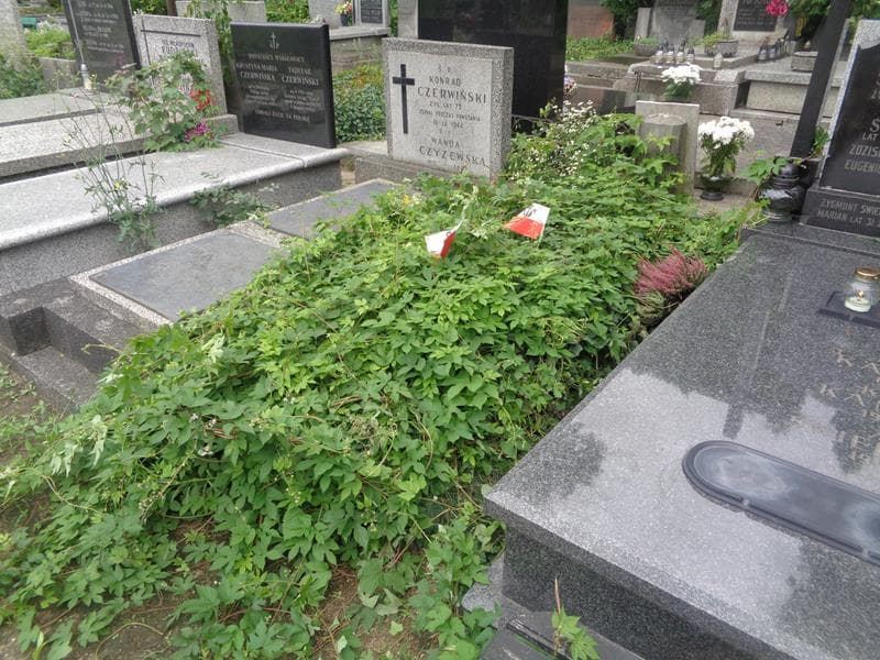 Zdjęcie grobu: Pole Grobowe