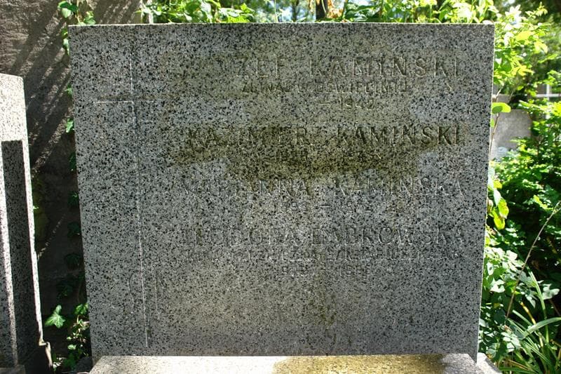 Zdjęcie grobu Teodora Dąbrowska (2)