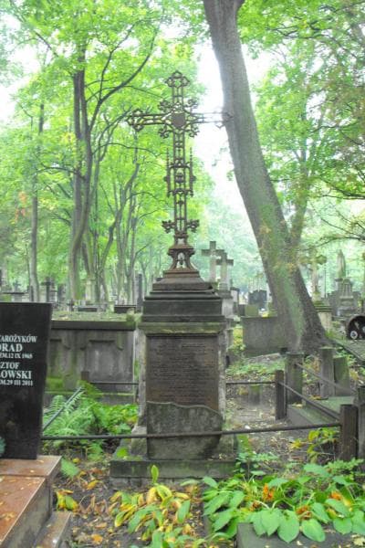 Zdjęcie grobu Feliks Stępniewski (1)