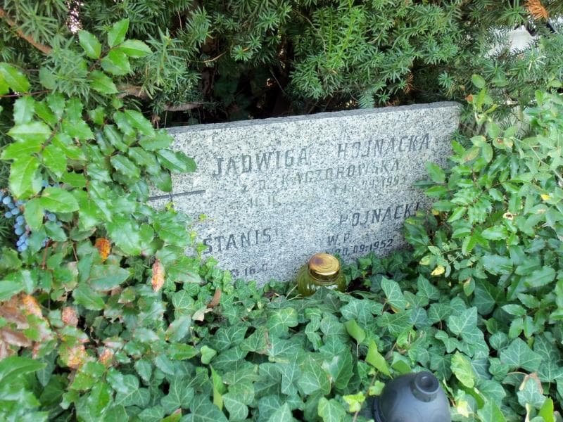Zdjęcie grobu Jadwiga Hojnacka (1)