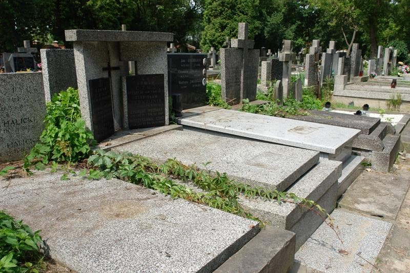 Zdjęcie grobu: Stanisław Perwejnis