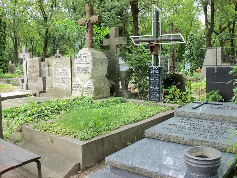 Zdjęcie grobu Marianna Wróblewska (1)