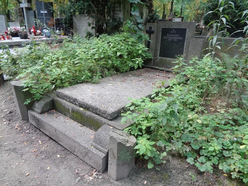 Zdjęcie grobu: Eustachy Gutkowski