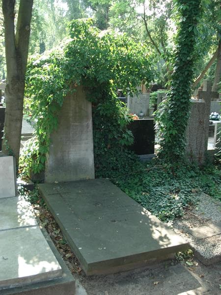 Zdjęcie grobu Kazimierz Pelczar (1)