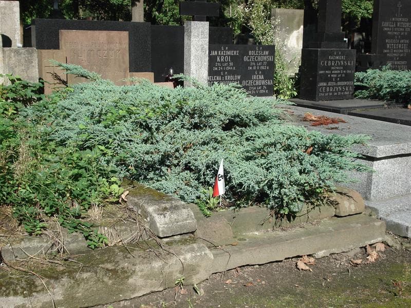 Zdjęcie grobu Helena Klimczuk (1)