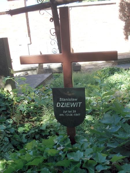 Zdjęcie grobu Stanisław Dziewit (1)