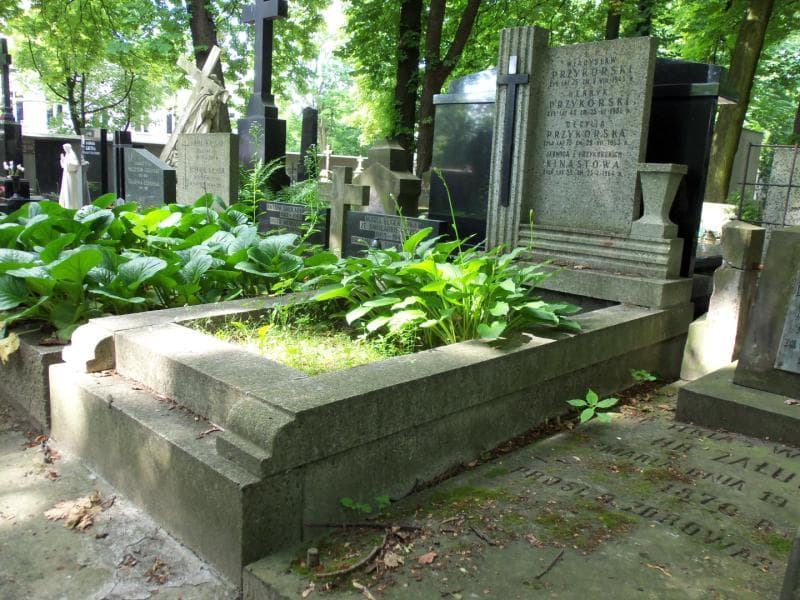 Zdjęcie grobu Henryk Przykorski (1)