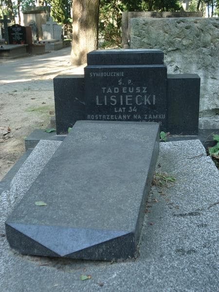 Zdjęcie grobu Tadeusz Lisiecki (2)
