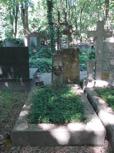 Zdjęcie grobu: Feliks Kuszyński