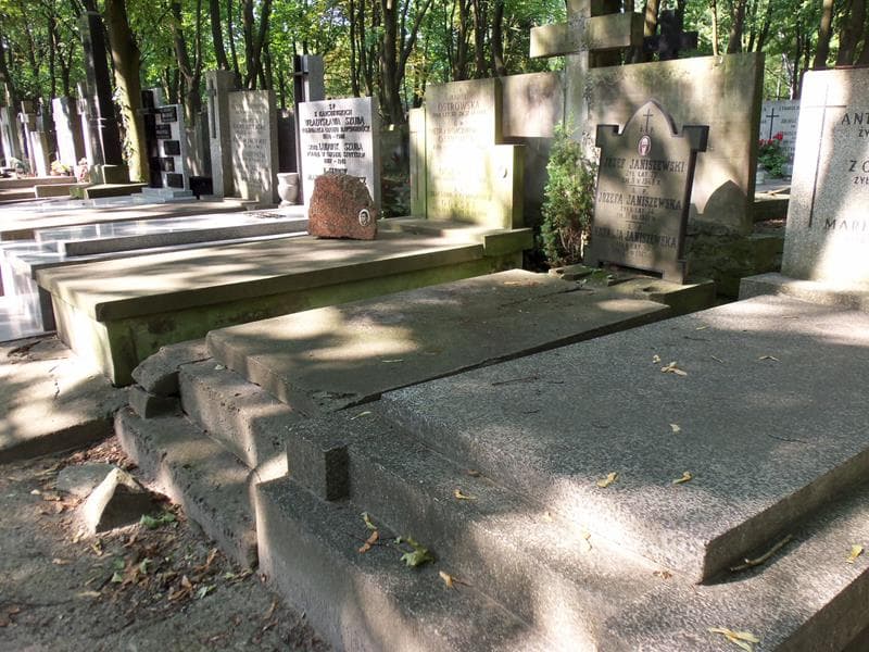 Zdjęcie grobu: Józef Janiszewski