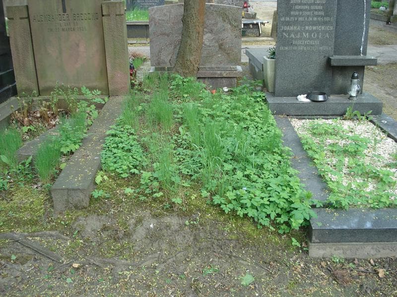 Zdjęcie grobu: Pole Grobowe