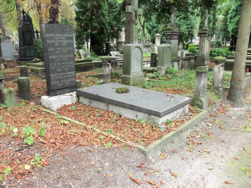 Zdjęcie grobu Jan Wallner (1)