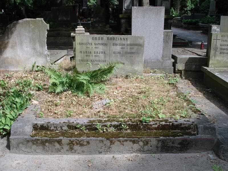 Zdjęcie grobu Stanisław Dobrowolski (1)