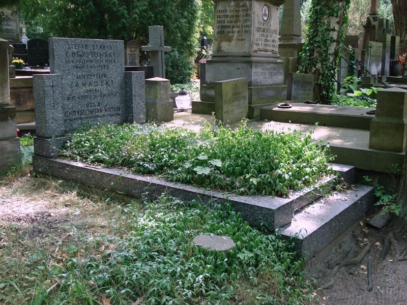 Zdjęcie grobu: Stefan Henryk Chrystowski