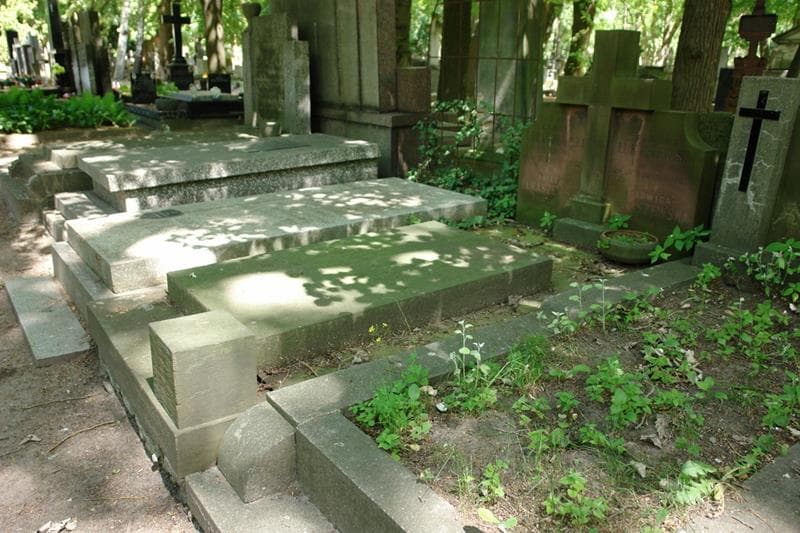 Zdjęcie grobu: Stanisława Borowa