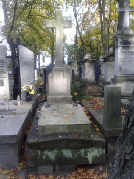 Zdjęcie grobu: Zygmunt Pomian Biesiekierski