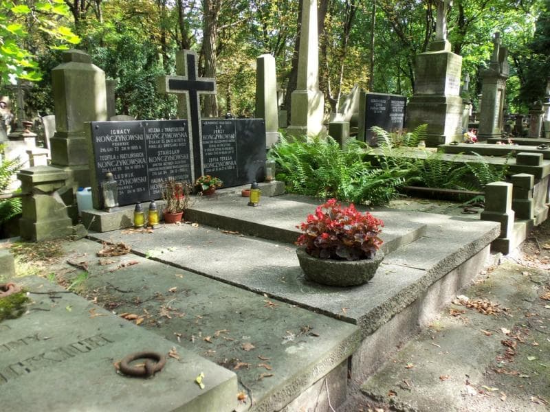 Zdjęcie grobu Zofia Teresa Kończykowska (1)