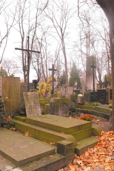 Zdjęcie grobu Józefa Chrząstowska (1)