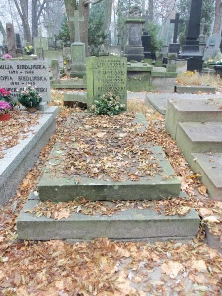 Zdjęcie grobu: Antoni Biedroński