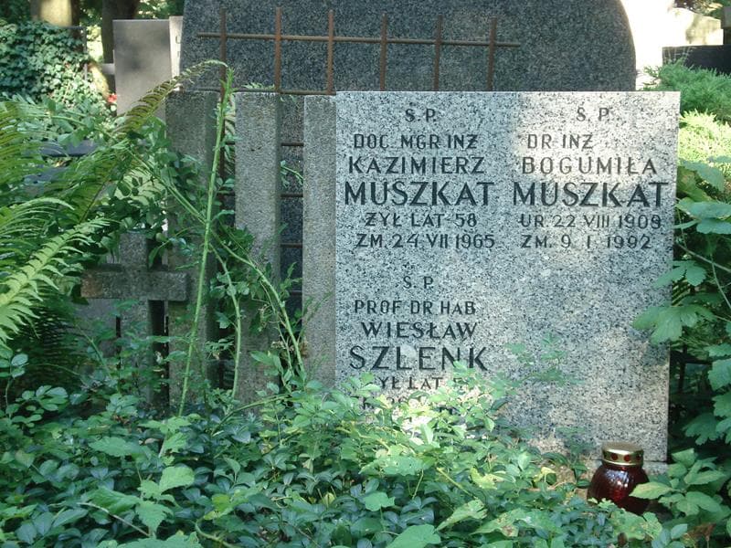 Zdjęcie grobu Wiesław Szlenk (1)