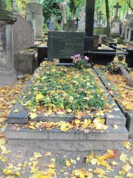 Zdjęcie grobu: Józef Chętkowski