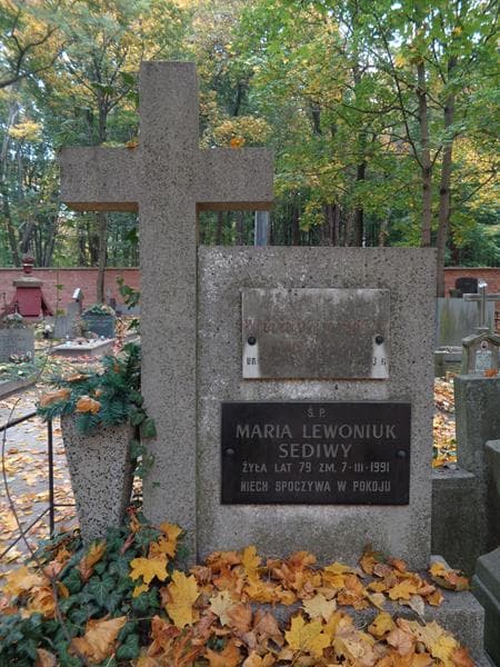 Zdjęcie grobu Włodzimierz Sediwy (2)