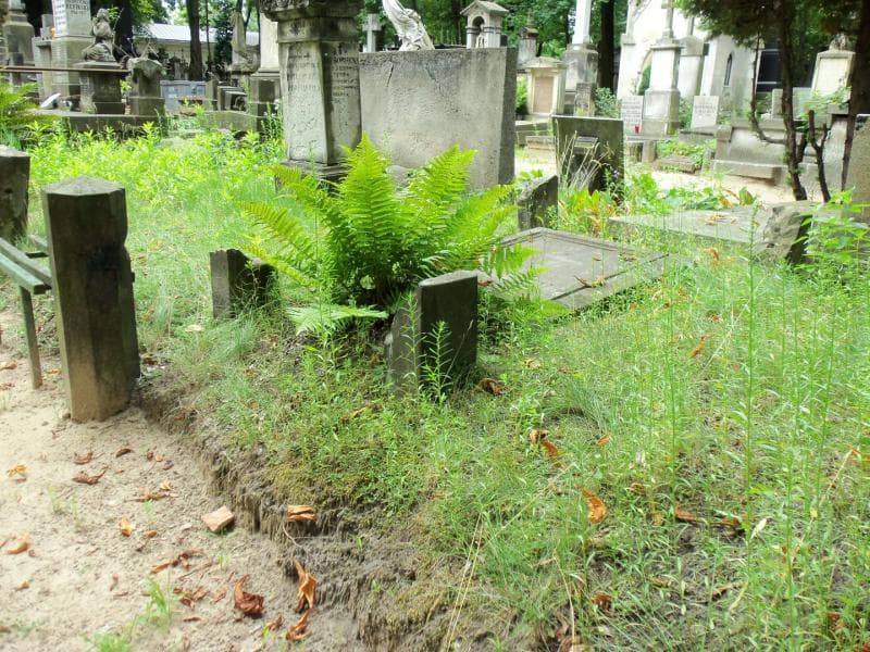 Zdjęcie grobu Maryanna Boska (1)