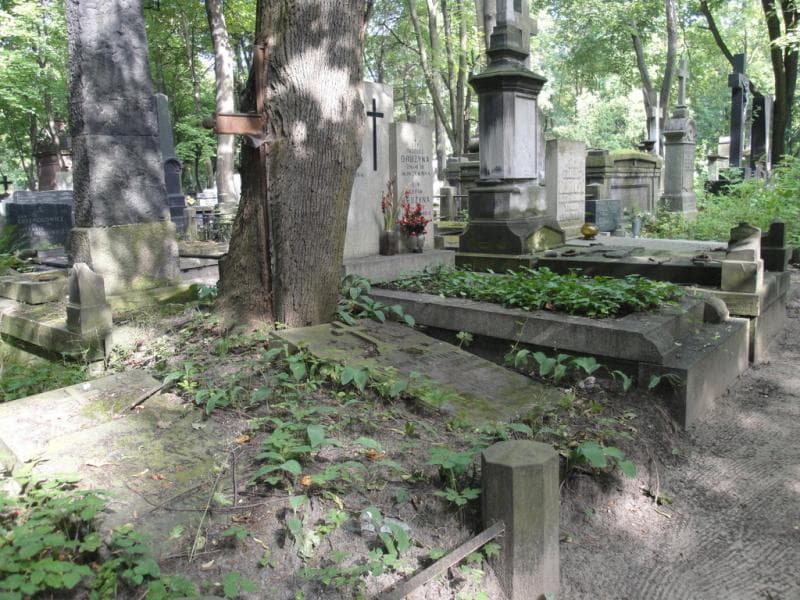 Zdjęcie grobu Ludomir Lipczyński (1)