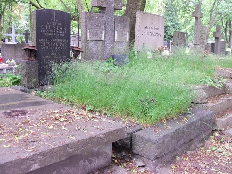 Zdjęcie grobu Walerian Cieślak (1)