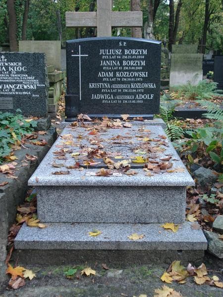 Zdjęcie grobu: Janina Borzym
