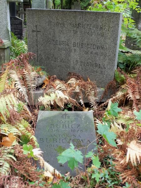 Zdjęcie grobu Henryk Marczewski (1)