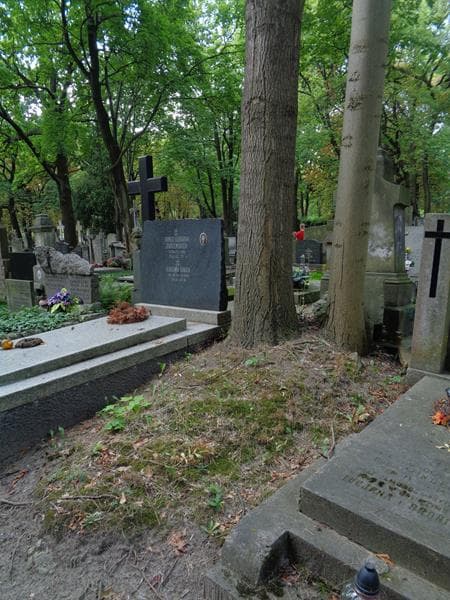 Zdjęcie grobu: Pole Grobowe