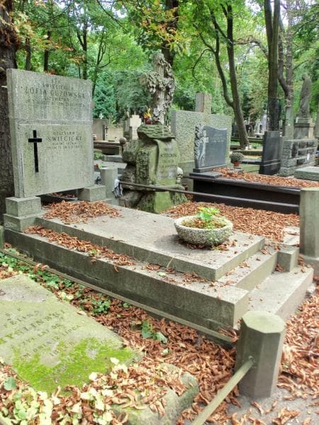 Zdjęcie grobu Zofia Guzowska (1)