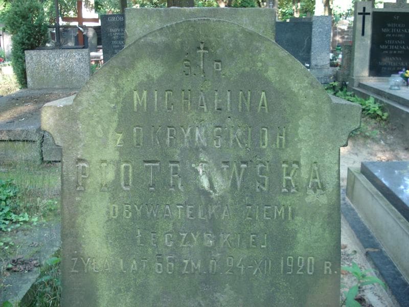 Zdjęcie grobu Michalina Piotrowska (2)