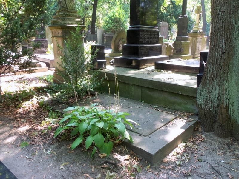 Zdjęcie grobu: August Woyciechowski
