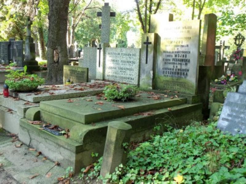 Zdjęcie grobu Janina Goliszewska (1)