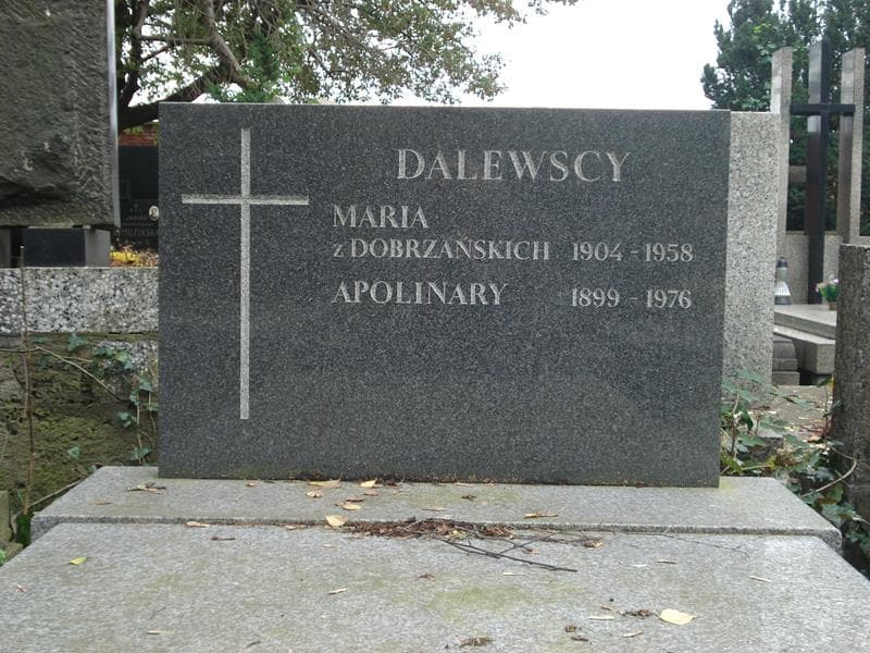 Zdjęcie grobu Apolinary Dalewski (2)