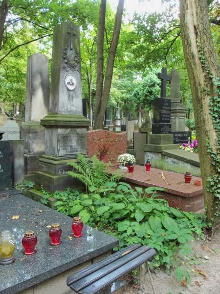 Zdjęcie grobu Władysław Jastrzębiec Wodziński (1)