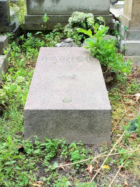 Zdjęcie grobu Antoni Lange (2)