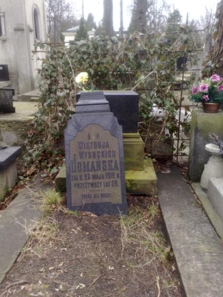 Zdjęcie grobu Wiktorja Domańska (1)