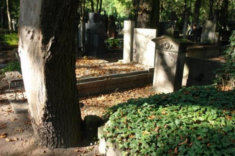Zdjęcie grobu Bogusławscy (1)