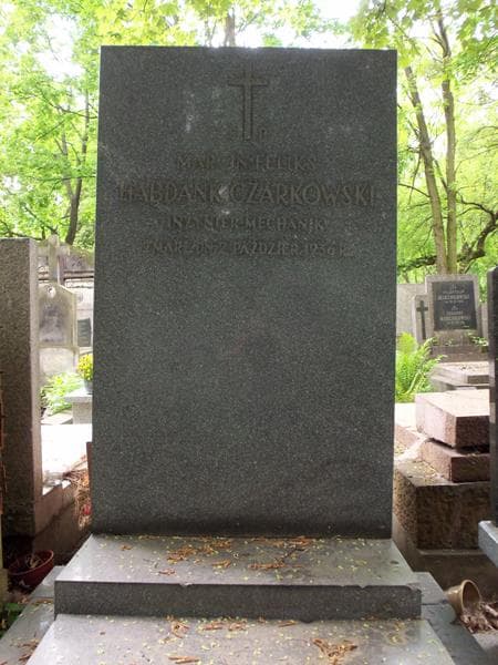 Zdjęcie grobu Marcin Feliks Habdank Czarkowski (2)