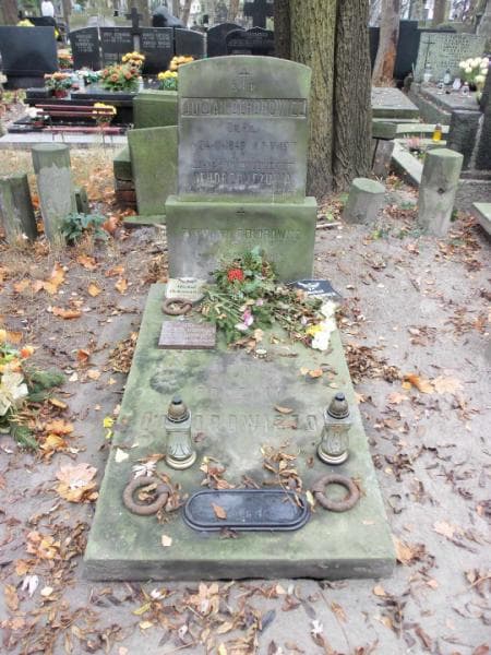 Zdjęcie grobu Zygmunt Ochorowicz (1)