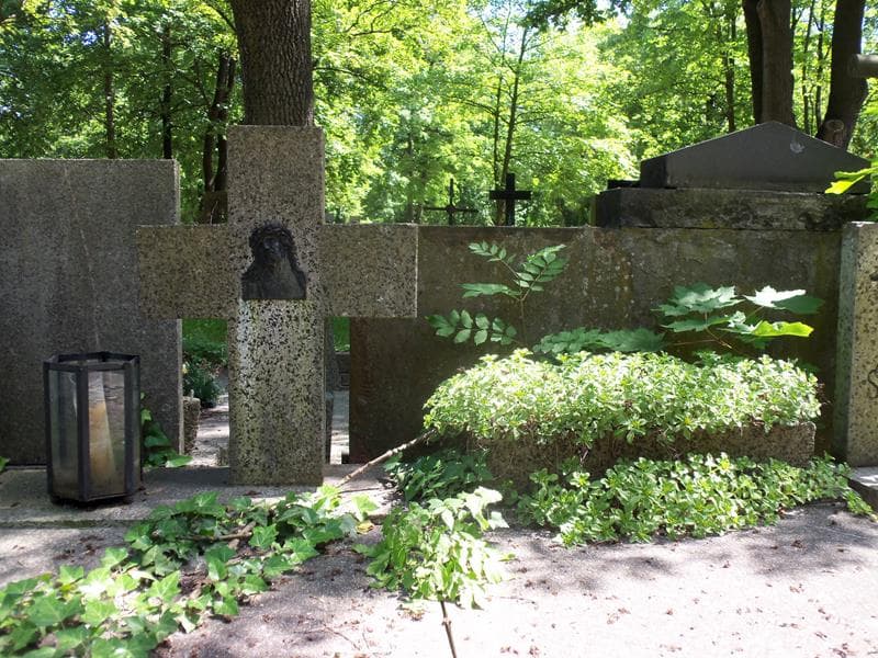Zdjęcie grobu Edward Kryst (2)