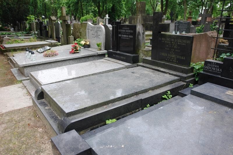 Zdjęcie grobu: Antoni Dobrzański