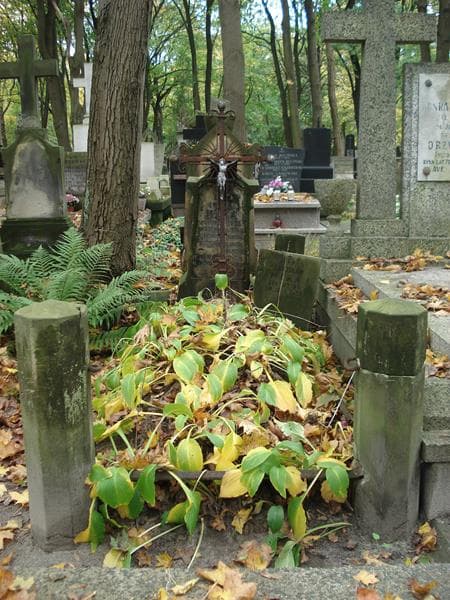 Zdjęcie grobu: Stanisław Mika
